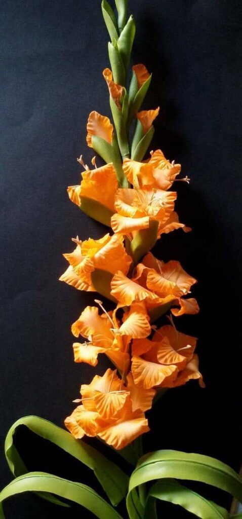 32- Gladiolus Flower