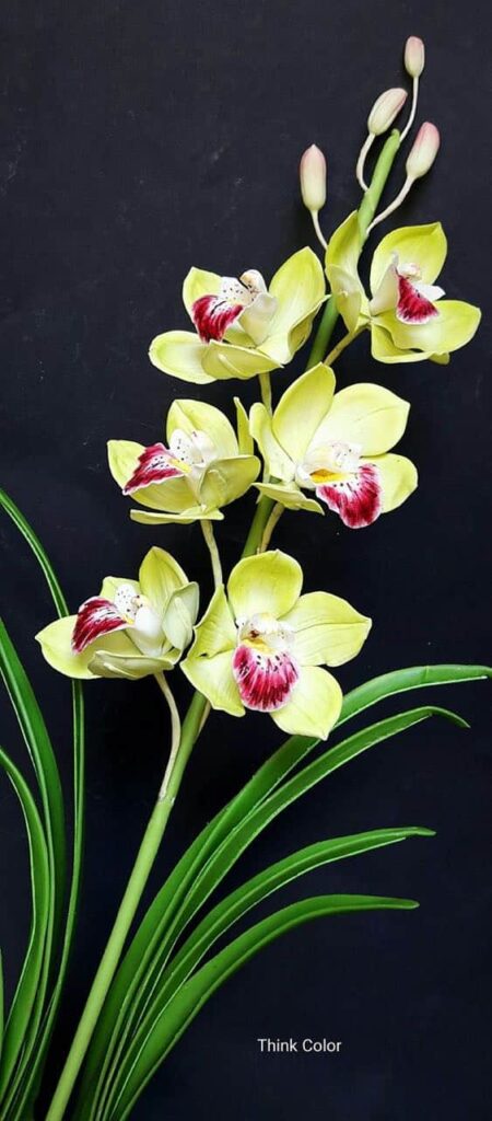34- Cymbidium Orchid Flower
