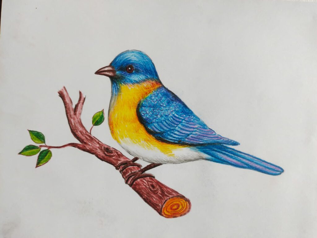 Color Pencil 1