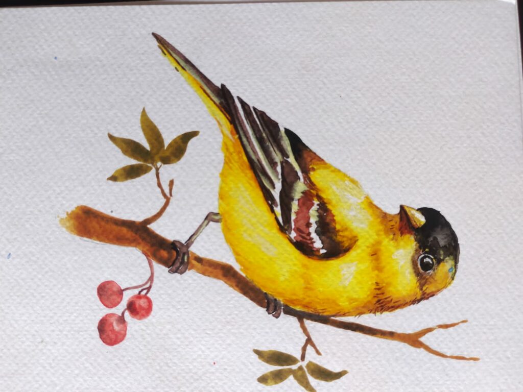 Color Pencil