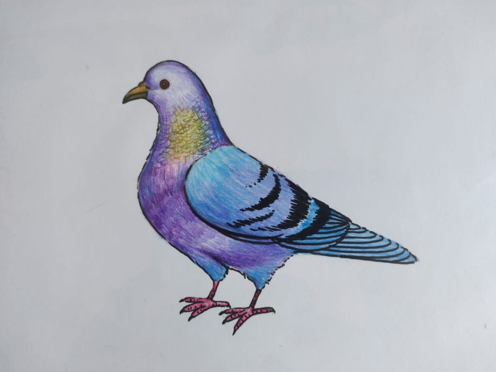 Color Pencil 2